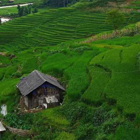 Freedom Homestay & Trekking サパ エクステリア 写真
