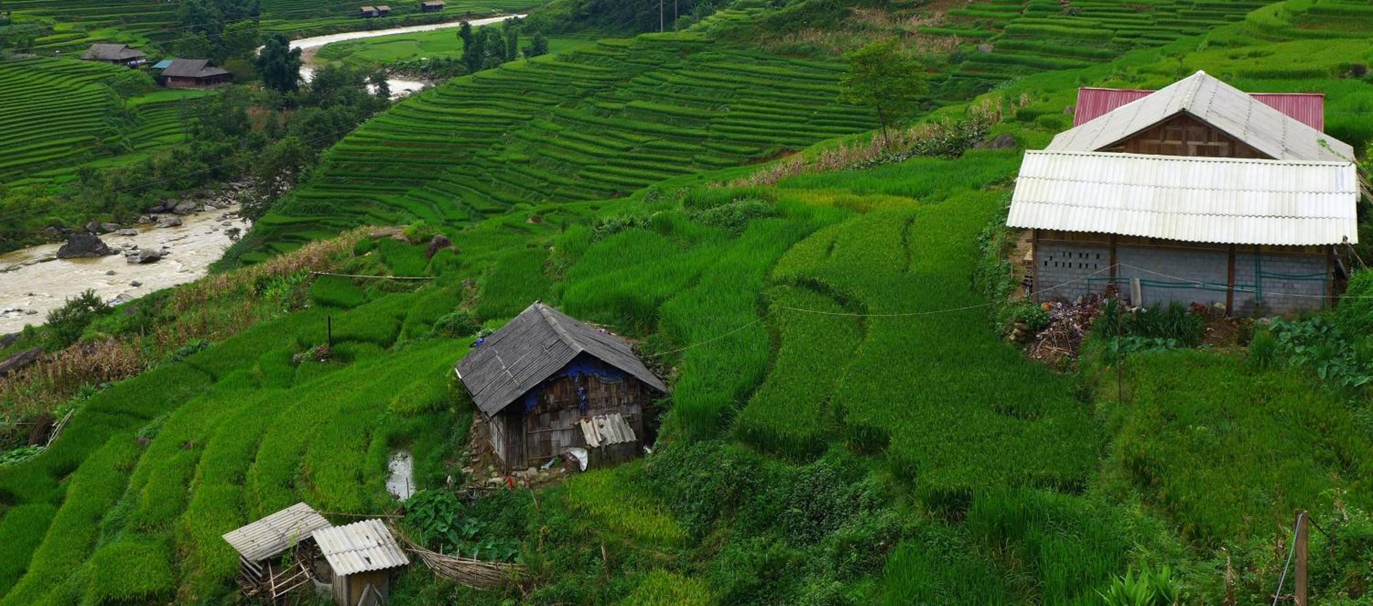 Freedom Homestay & Trekking サパ エクステリア 写真