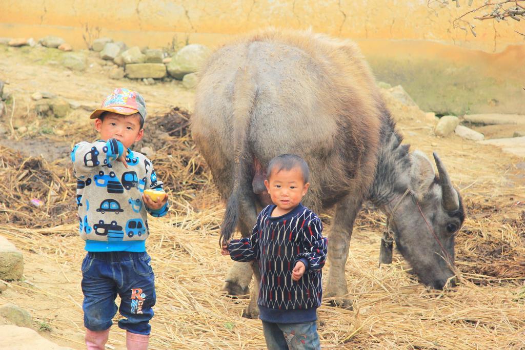 Freedom Homestay & Trekking サパ エクステリア 写真
