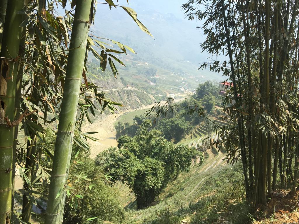 Freedom Homestay & Trekking サパ エクステリア 写真