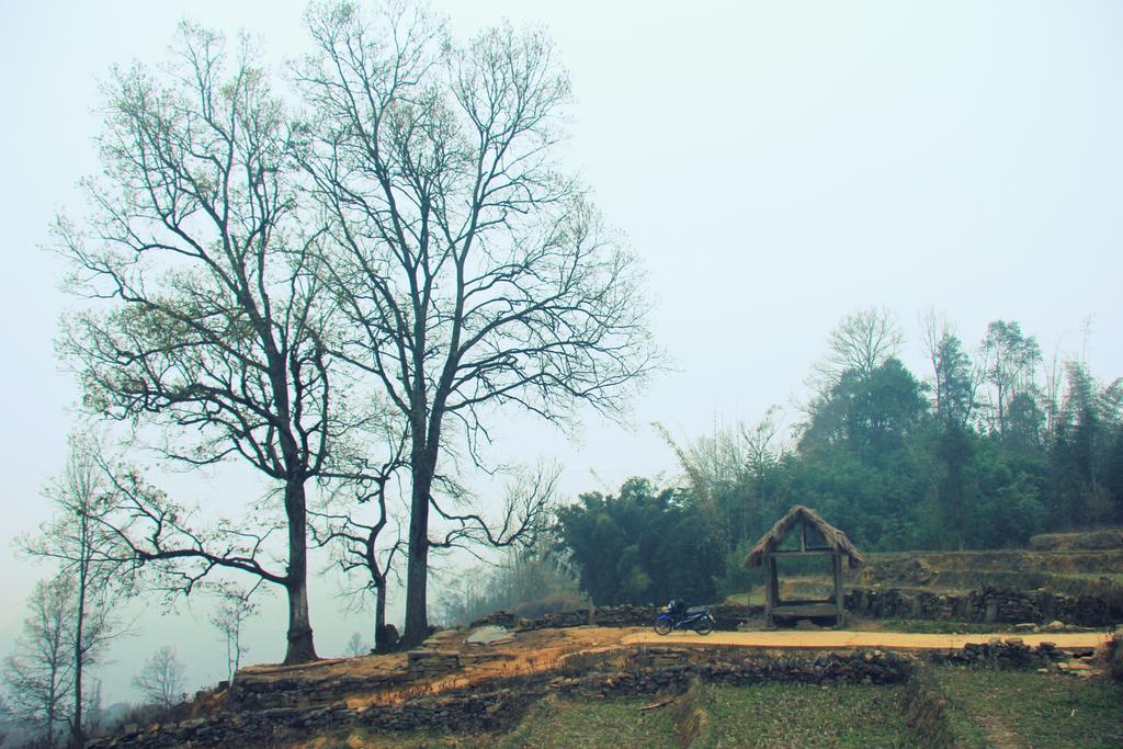 Freedom Homestay & Trekking サパ エクステリア 写真
