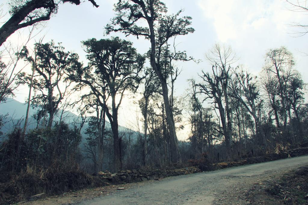 Freedom Homestay & Trekking サパ エクステリア 写真