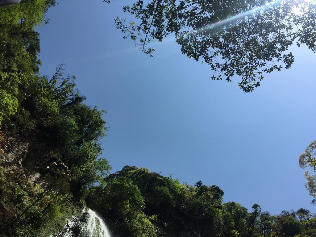 Freedom Homestay & Trekking サパ エクステリア 写真