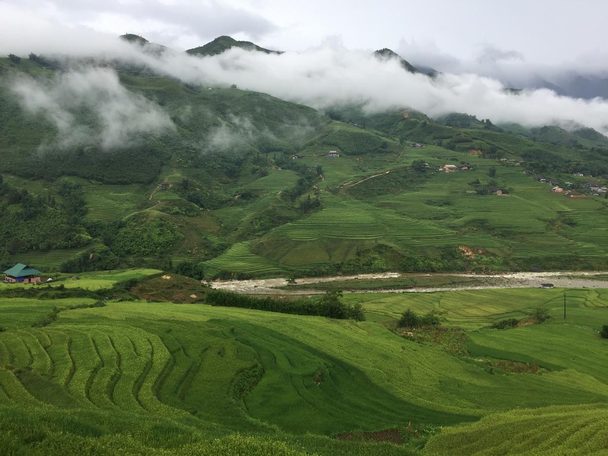 Freedom Homestay & Trekking サパ エクステリア 写真