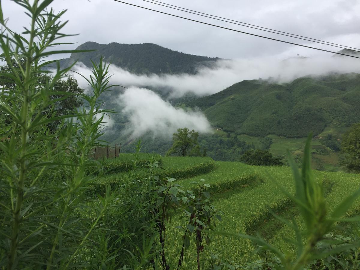 Freedom Homestay & Trekking サパ エクステリア 写真
