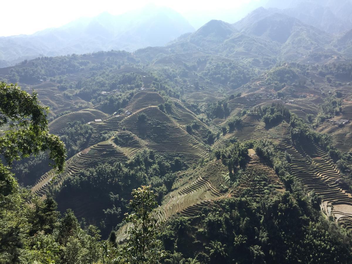 Freedom Homestay & Trekking サパ エクステリア 写真